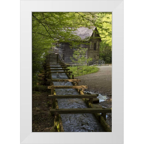TN, Great Smoky Mts Wooden flume directs water White Modern Wood Framed Art Print by Grall, Don