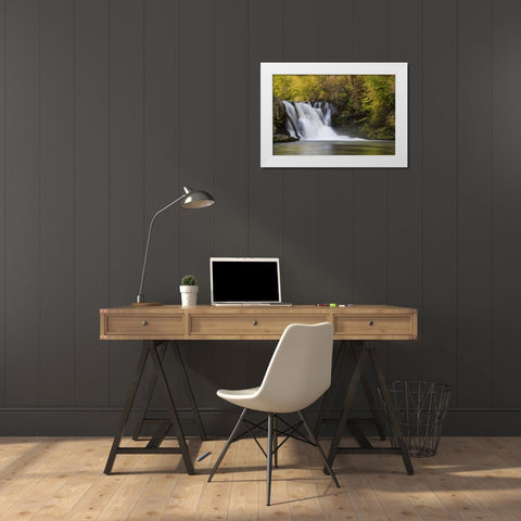 Tennessee, Great Smoky Mts Abrams Falls White Modern Wood Framed Art Print by Grall, Don