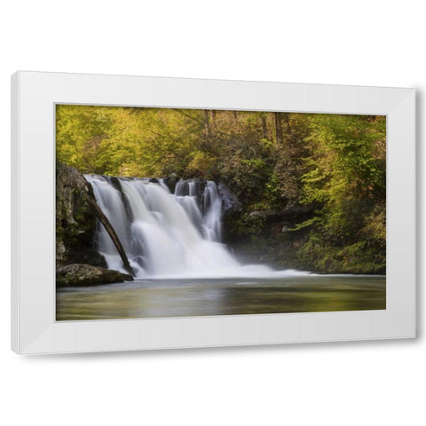 Tennessee, Great Smoky Mts Abrams Falls White Modern Wood Framed Art Print by Grall, Don