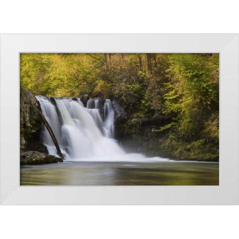Tennessee, Great Smoky Mts Abrams Falls White Modern Wood Framed Art Print by Grall, Don