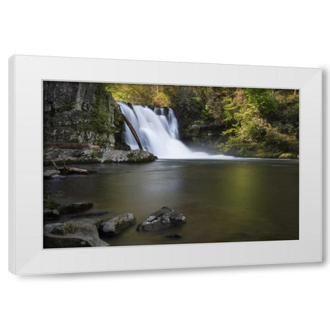 Tennessee, Great Smoky Mts Abrams Falls White Modern Wood Framed Art Print by Grall, Don