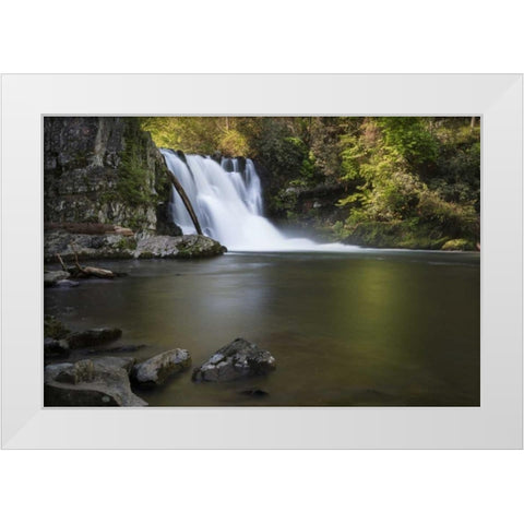 Tennessee, Great Smoky Mts Abrams Falls White Modern Wood Framed Art Print by Grall, Don