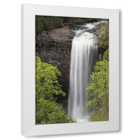 TN, Foster Falls Wild Area Waterfall scenic White Modern Wood Framed Art Print by Grall, Don