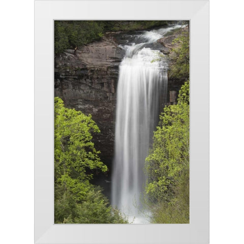 TN, Foster Falls Wild Area Waterfall scenic White Modern Wood Framed Art Print by Grall, Don
