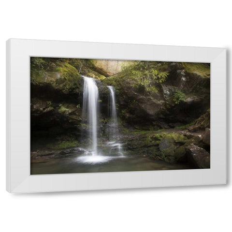 Tennessee, Great Smoky Mts Grotto Falls scenic White Modern Wood Framed Art Print by Grall, Don
