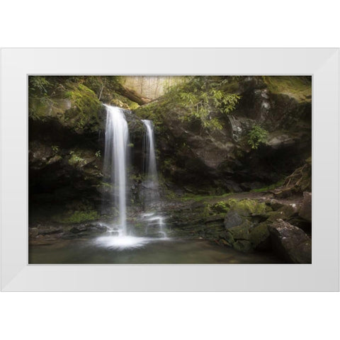 Tennessee, Great Smoky Mts Grotto Falls scenic White Modern Wood Framed Art Print by Grall, Don