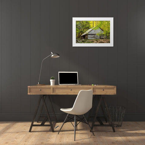 Tennessee Old barn at Bud Ogle cabin along Roaring Fork Nature Trail White Modern Wood Framed Art Print by Wells, Joanne