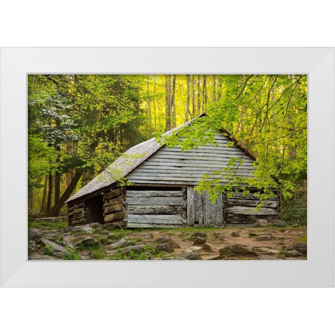 Tennessee Old barn at Bud Ogle cabin along Roaring Fork Nature Trail White Modern Wood Framed Art Print by Wells, Joanne