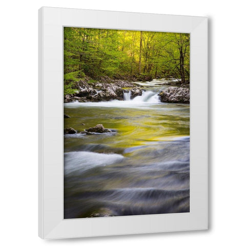 Tennessee Sparks Lane in the spring at Cades Cove White Modern Wood Framed Art Print by Wells, Joanne