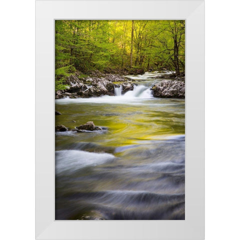 Tennessee Sparks Lane in the spring at Cades Cove White Modern Wood Framed Art Print by Wells, Joanne