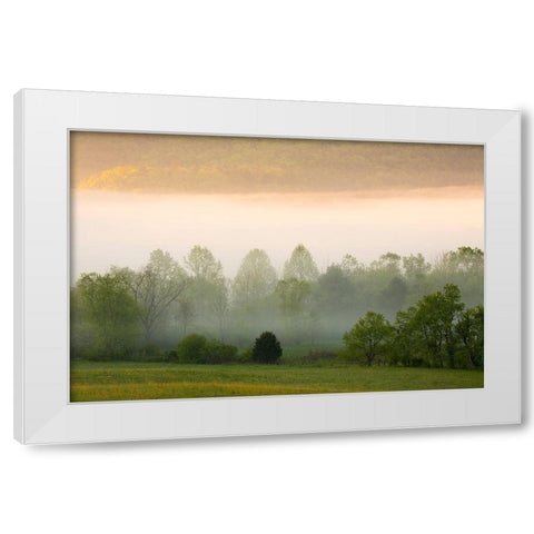 Tennessee Early morning fog in Cades Cove White Modern Wood Framed Art Print by Wells, Joanne