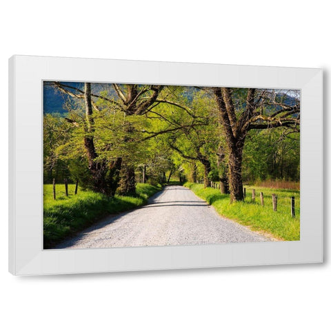 Tennessee-Sparks Lane in the spring at Cades Cove White Modern Wood Framed Art Print by Wells, Joanne