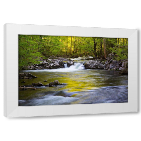 Tennessee-Evening reflections in the Little River at Tremont White Modern Wood Framed Art Print by Wells, Joanne
