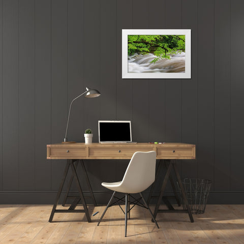 Middle Prong Little River in spring-Great Smoky Mountains National Park-Tennessee White Modern Wood Framed Art Print by Day, Richard and Susan