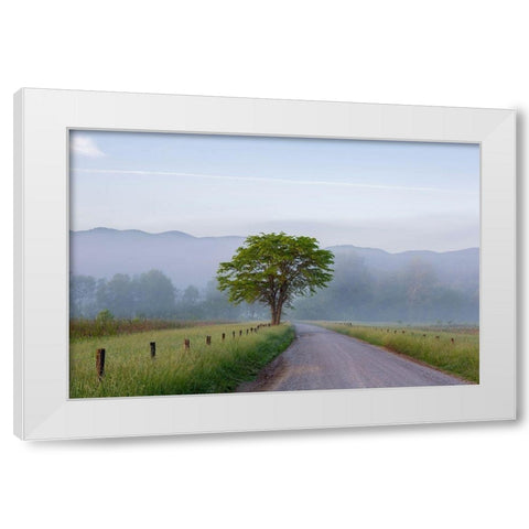 Hyatt Lane in fog Cades Cove Great Smoky Mountains National Park-Tennessee White Modern Wood Framed Art Print by Day, Richard and Susan
