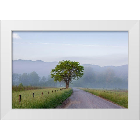 Hyatt Lane in fog Cades Cove Great Smoky Mountains National Park-Tennessee White Modern Wood Framed Art Print by Day, Richard and Susan