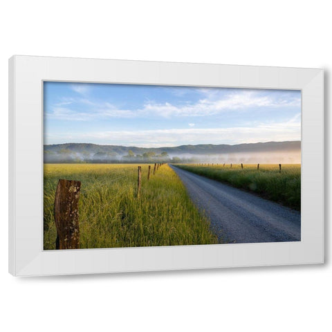 Hyatt Lane in fog Cades Cove Great Smoky Mountains National Park-Tennessee White Modern Wood Framed Art Print by Day, Richard and Susan