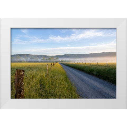 Hyatt Lane in fog Cades Cove Great Smoky Mountains National Park-Tennessee White Modern Wood Framed Art Print by Day, Richard and Susan