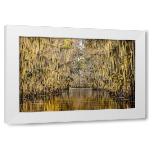Bald cypress trees draped in Spanish moss in autumn lining Government Ditch Caddo Lake White Modern Wood Framed Art Print by Jones, Adam