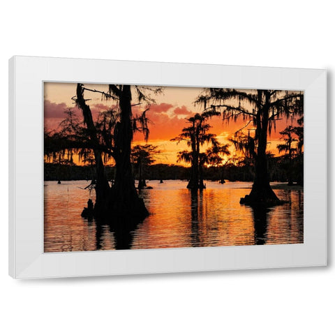 Bald cypress trees silhouetted at sunset Caddo Lake-Uncertain-Texas White Modern Wood Framed Art Print by Jones, Adam