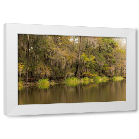 Cypress trees and Spanish moss lining shoreline of Caddo Lake-Uncertain-Texas White Modern Wood Framed Art Print by Jones, Adam