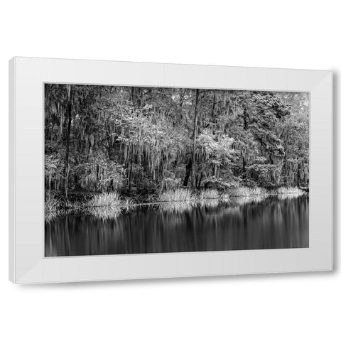 Cypress trees and Spanish moss lining shoreline of Caddo Lake-Uncertain-Texas White Modern Wood Framed Art Print by Jones, Adam