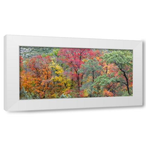 TX, Guadalupe Mts Panoramic of McKittrick Canyon White Modern Wood Framed Art Print by Paulson, Don
