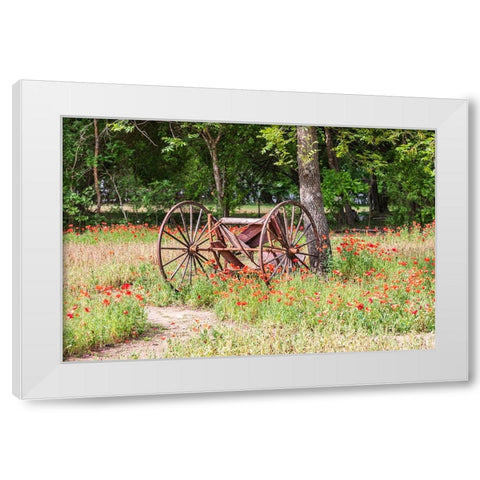 Castroville-Texas-USA-Rusted antique farm equipment in a field of poppies White Modern Wood Framed Art Print by Wilson, Emily M.