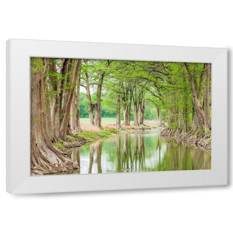 Waring-Texas-USA-Trees along the Guadalupe River in the Texas Hill Country White Modern Wood Framed Art Print by Wilson, Emily M.