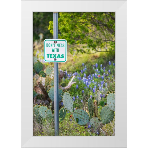 Llano-Texas-USA-Dont Mess With Texas sign in the hill country White Modern Wood Framed Art Print by Wilson, Emily M.