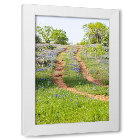 Llano-Texas-USA-Two rut road through bluebonnets in the Texas Hill Country White Modern Wood Framed Art Print by Wilson, Emily M.