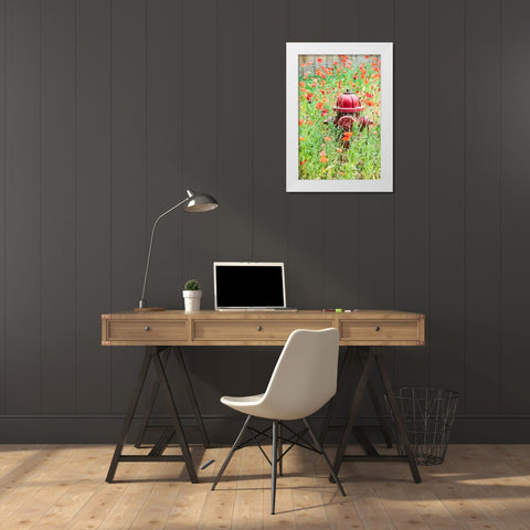 Castroville-Texas-USA-Poppies and fire hydrant in the Texas Hill Country White Modern Wood Framed Art Print by Wilson, Emily M.