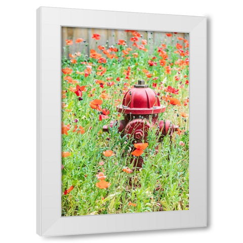 Castroville-Texas-USA-Poppies and fire hydrant in the Texas Hill Country White Modern Wood Framed Art Print by Wilson, Emily M.