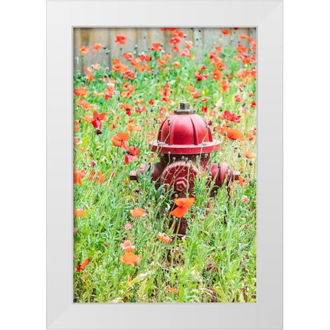 Castroville-Texas-USA-Poppies and fire hydrant in the Texas Hill Country White Modern Wood Framed Art Print by Wilson, Emily M.