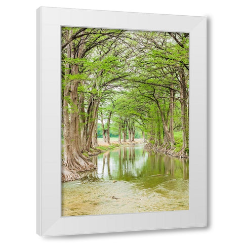 Waring-Texas-USA-Trees along the Guadalupe River in the Texas Hill Country White Modern Wood Framed Art Print by Wilson, Emily M.