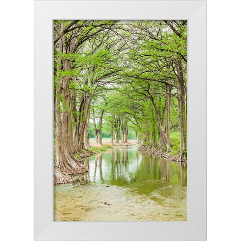 Waring-Texas-USA-Trees along the Guadalupe River in the Texas Hill Country White Modern Wood Framed Art Print by Wilson, Emily M.