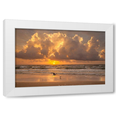 Sunrise on Gulf of Mexico at South Padre Island White Modern Wood Framed Art Print by Ditto, Larry