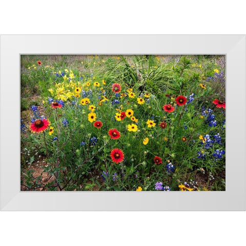 Wildflowers including Slender Greenthread and Firewheel White Modern Wood Framed Art Print by Ditto, Larry