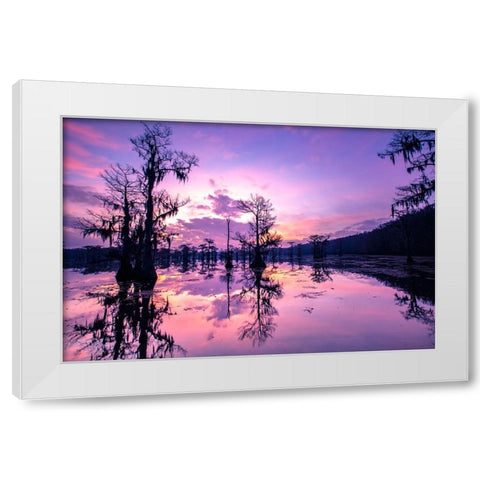 Caddo Lake at sunrise White Modern Wood Framed Art Print by Ditto, Larry