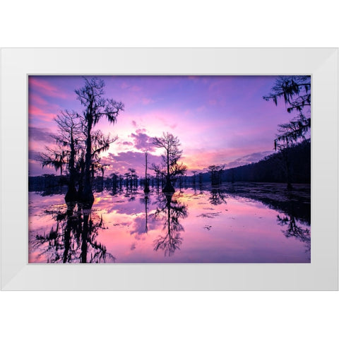 Caddo Lake at sunrise White Modern Wood Framed Art Print by Ditto, Larry