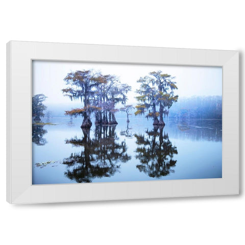 Caddo Lake morning White Modern Wood Framed Art Print by Ditto, Larry