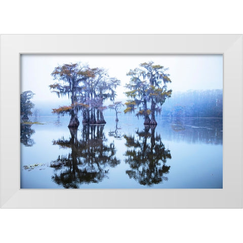 Caddo Lake morning White Modern Wood Framed Art Print by Ditto, Larry