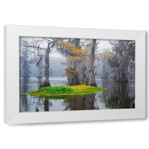 Caddo Lake morning White Modern Wood Framed Art Print by Ditto, Larry