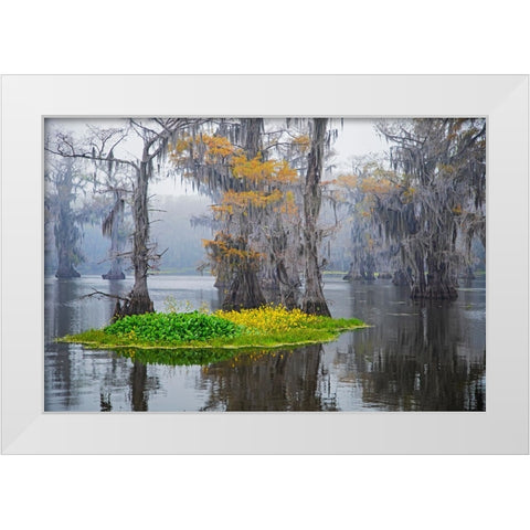 Caddo Lake morning White Modern Wood Framed Art Print by Ditto, Larry