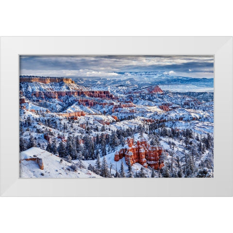 Utah-Bryce Canyon National Park-Buttes and hoodoos on a winter morning White Modern Wood Framed Art Print by Collins, Ann
