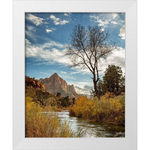 Utah-Zion National Park-Virgin River and The Watchman near sunset White Modern Wood Framed Art Print by Collins, Ann