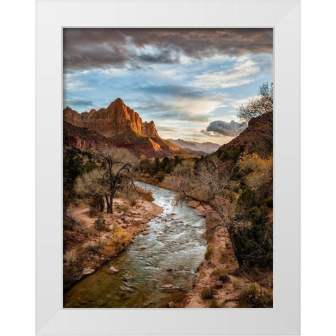 Utah-Zion National Park-Sunset lights up The Watchman and the Virgin River White Modern Wood Framed Art Print by Collins, Ann