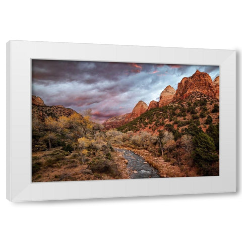 Utah-Zion National Park-A fiery sunset lights up Zions Virgin River and cottonwood trees White Modern Wood Framed Art Print by Collins, Ann