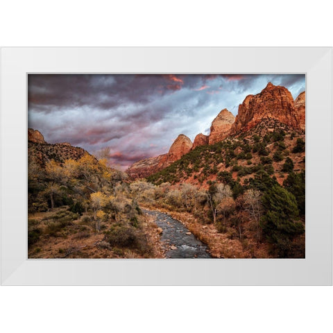 Utah-Zion National Park-A fiery sunset lights up Zions Virgin River and cottonwood trees White Modern Wood Framed Art Print by Collins, Ann
