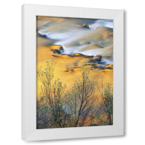 UT, Zion NP, Virgin River With Canyon Reflections White Modern Wood Framed Art Print by Rotenberg, Nancy